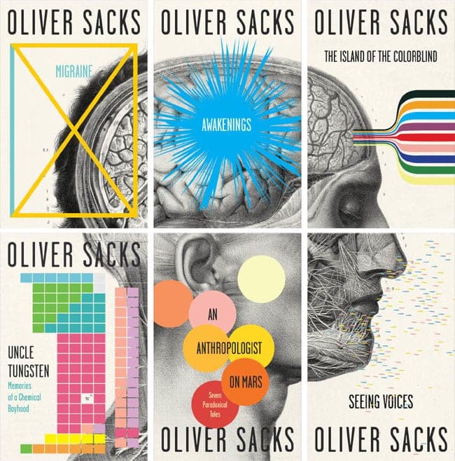 Book Cover Design - Series Branding - Clever Multi-Piece Design