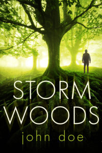 Storm Woods