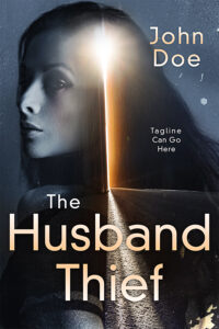 The Husband Thief